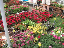 Tyrin kukkamarkkinat 18.5.2013